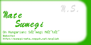 mate sumegi business card